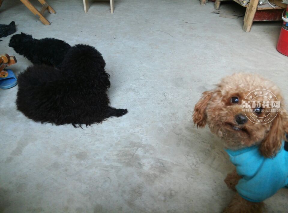 QQ图片20150209191827.jpg