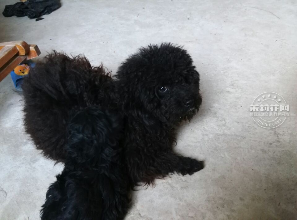 QQ图片20150209191758.jpg