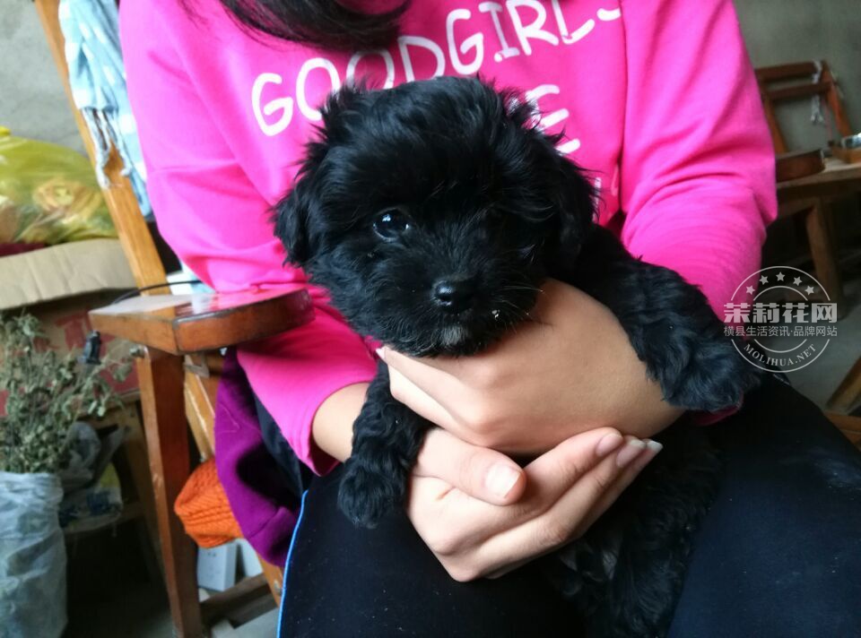 QQ图片20150209191713.jpg