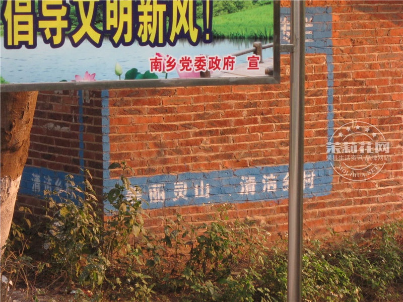 照片 194.jpg