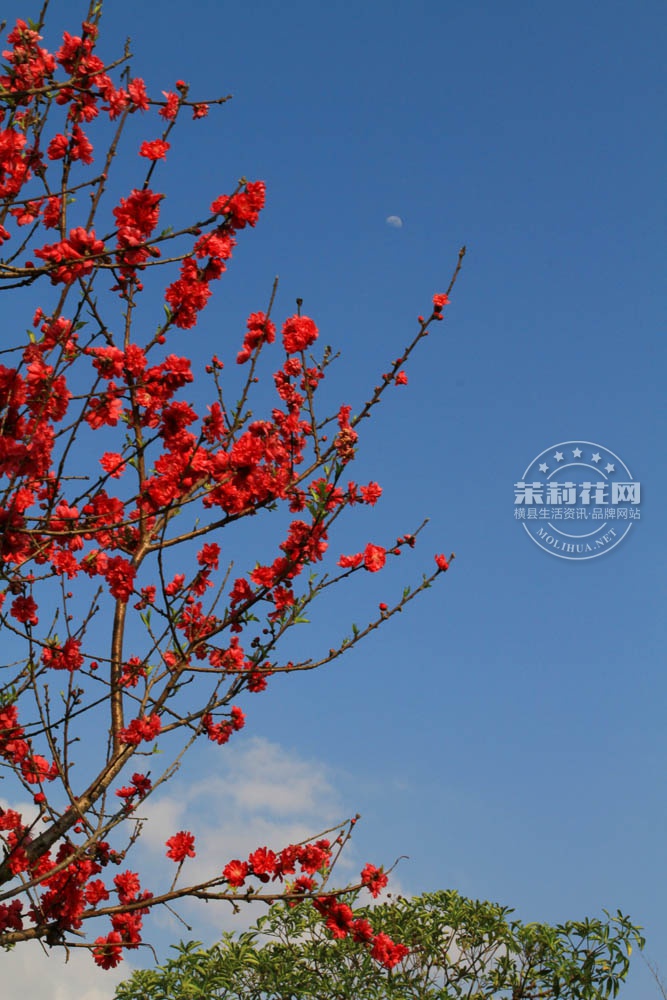 IMG_0864.jpg