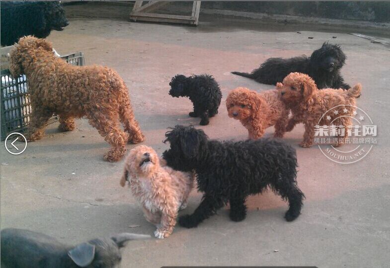 QQ图片20150212174153.jpg