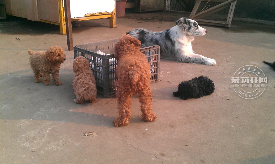 QQ图片20150212174105.jpg