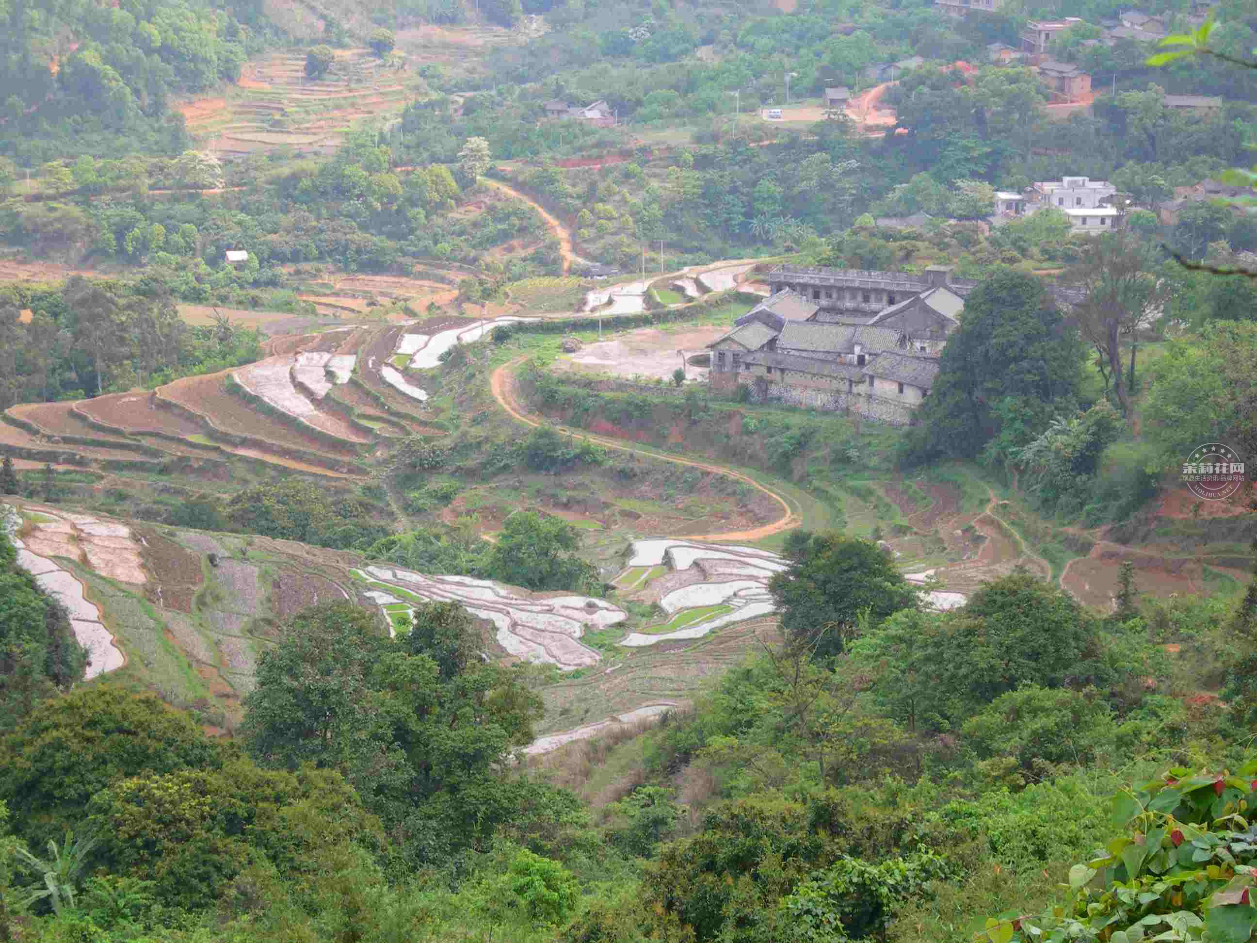 南山寺.jpg