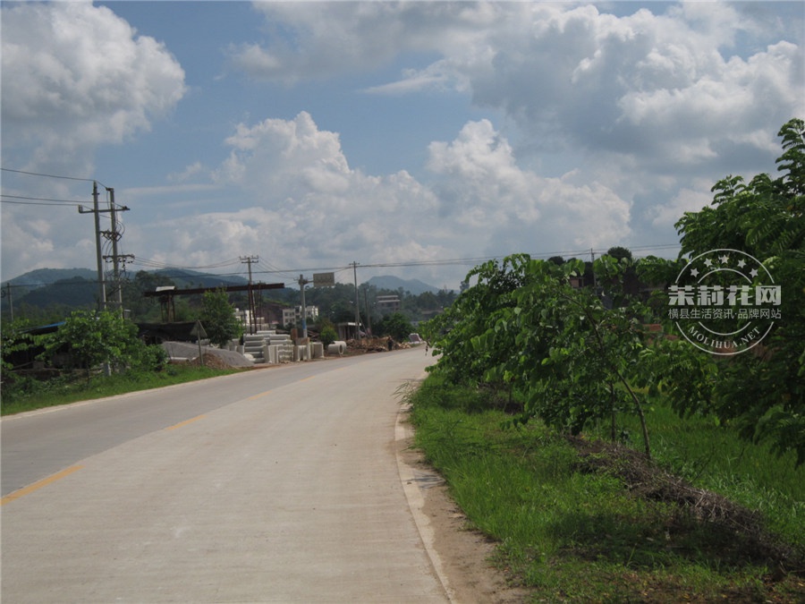 IMG_3797_副本.jpg