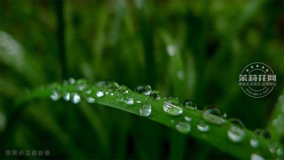 é²ç P1350192.jpg
