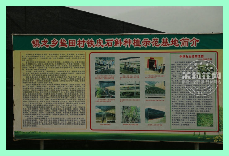 IMG_2765_副本.JPG