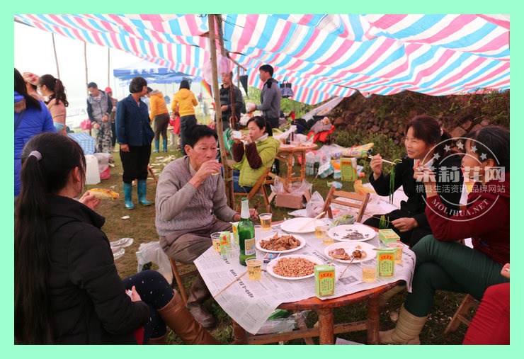 IMG_2531_副本.JPG