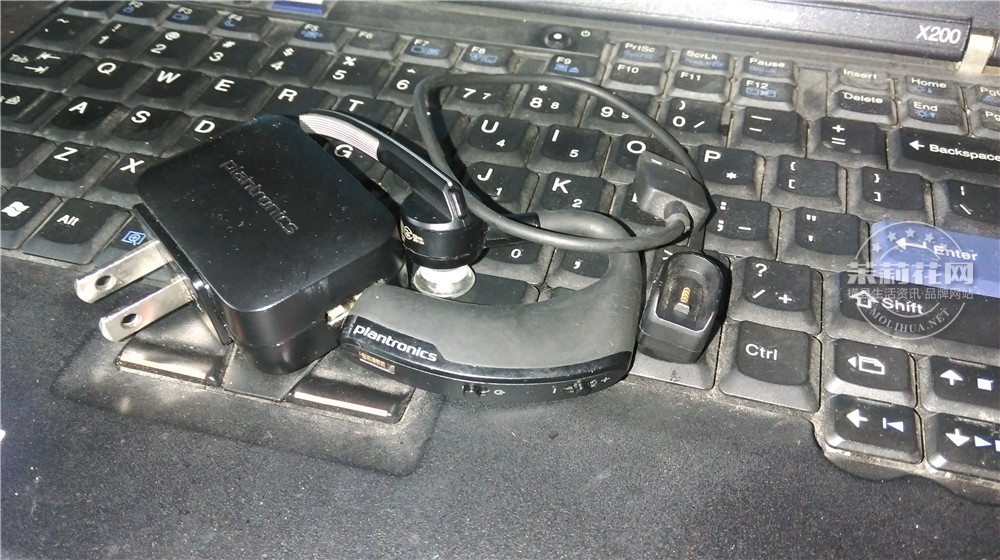 IMAG0015.jpg