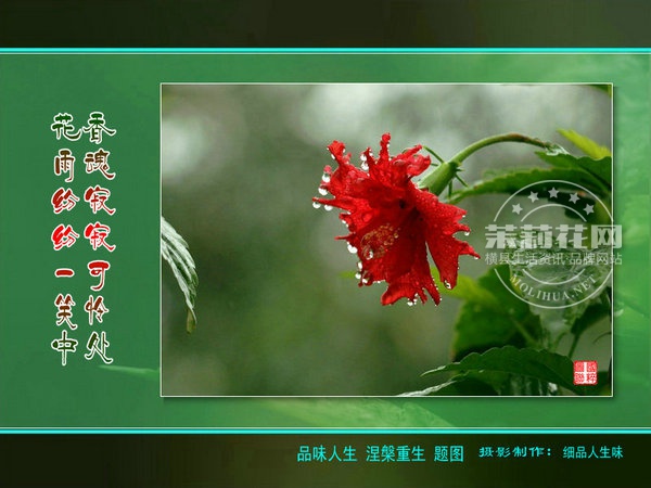 IMG_2035_副本.jpg