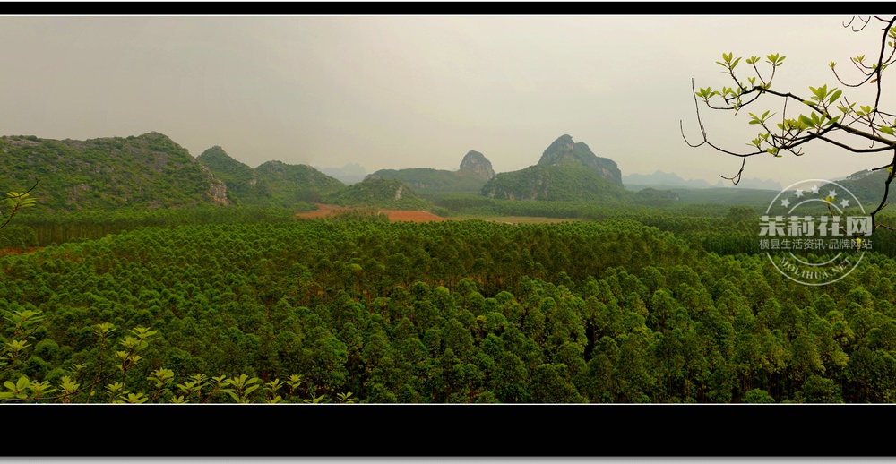 未标题_全景图7_副本.jpg