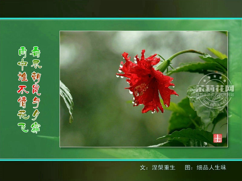 IMG_2035_副本.jpg