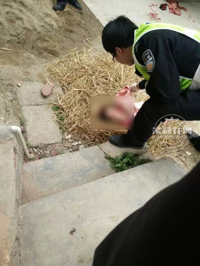 QQ图片20150329173539.jpg
