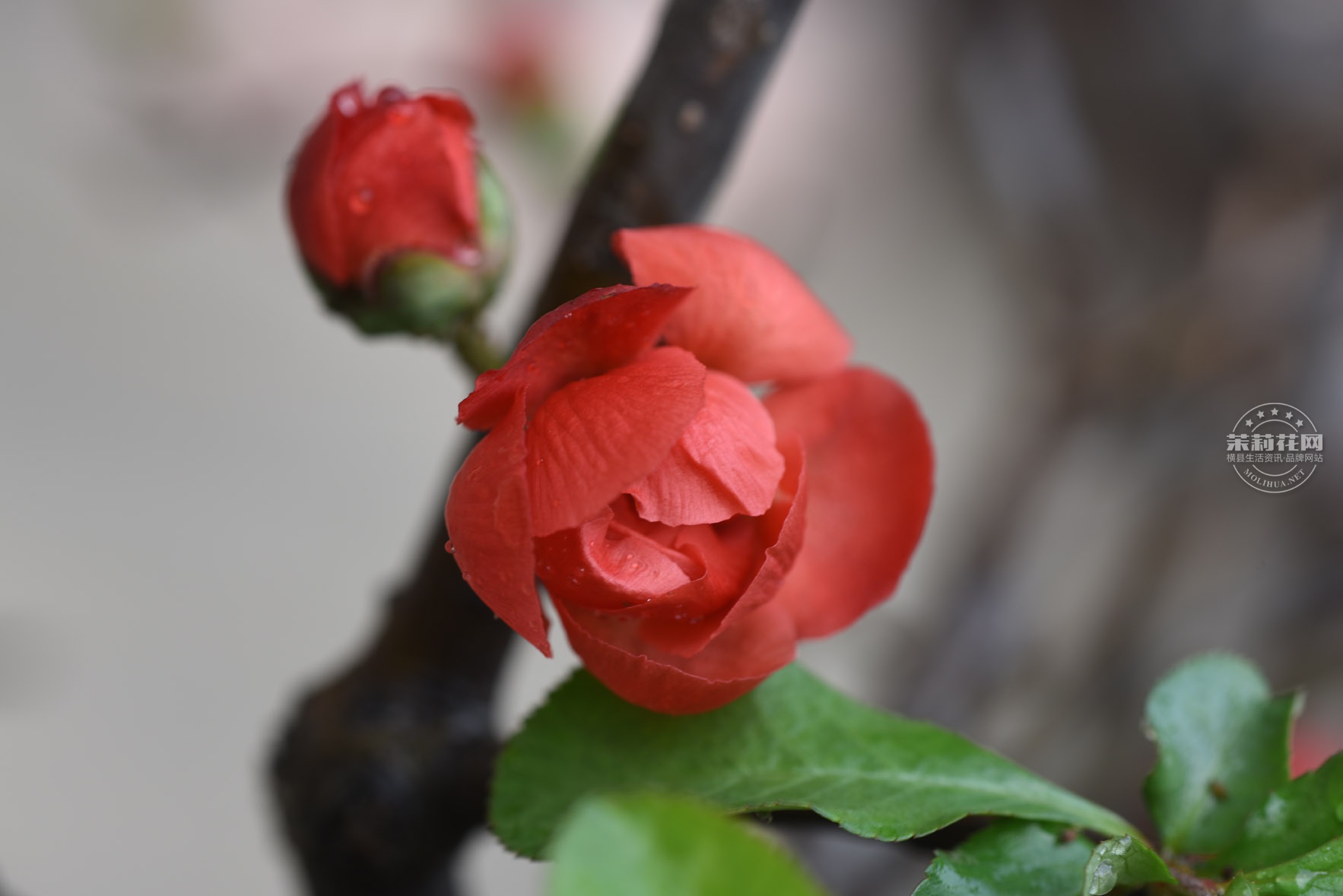 DSC_0629.jpg