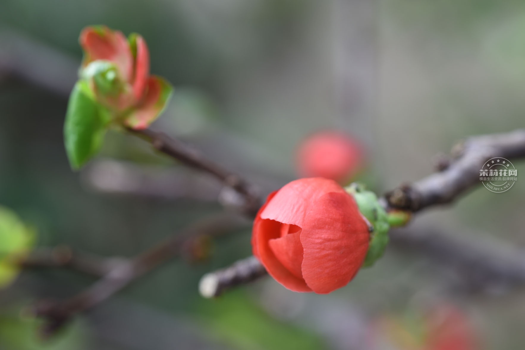 DSC_0643.jpg