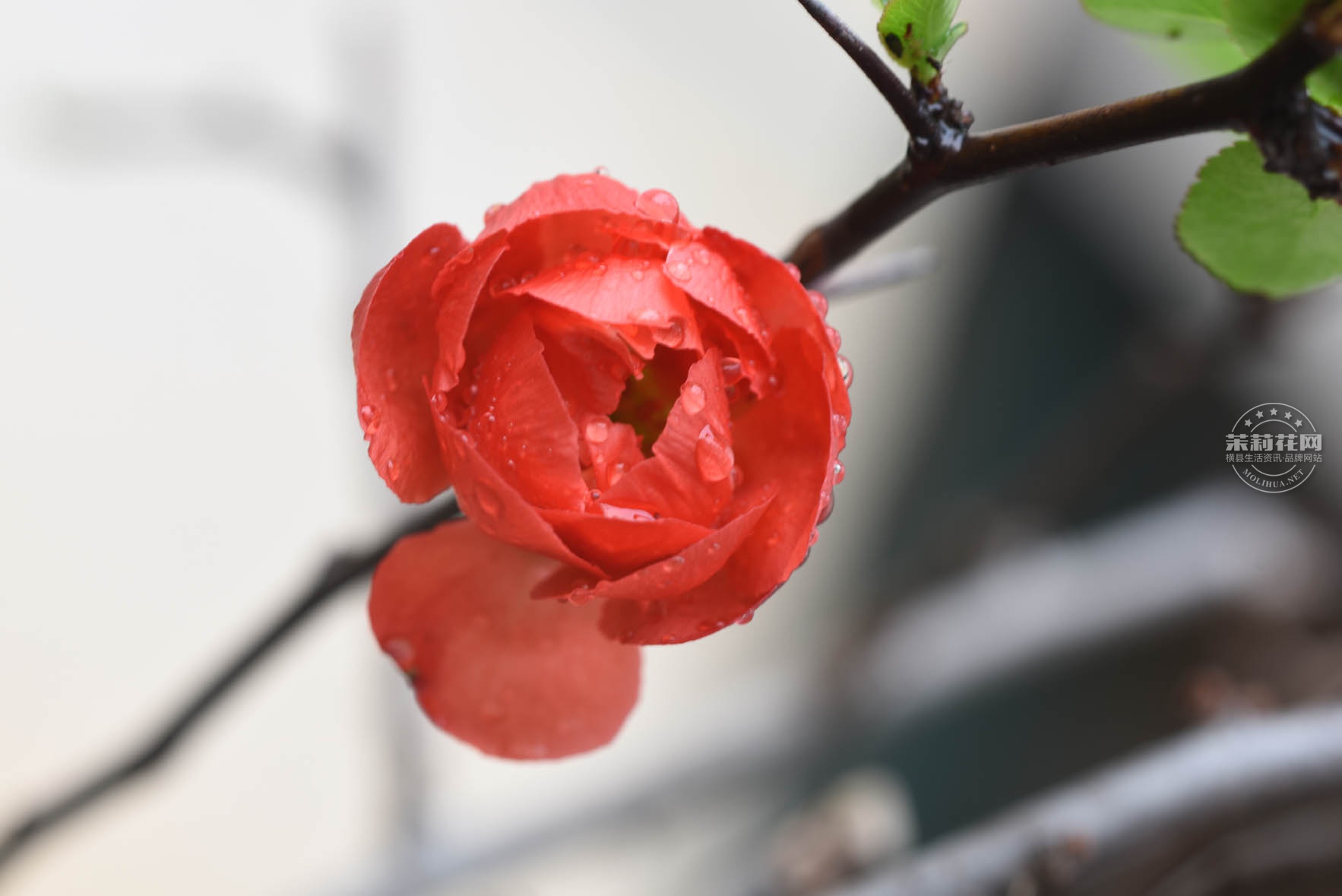 DSC_0664.jpg