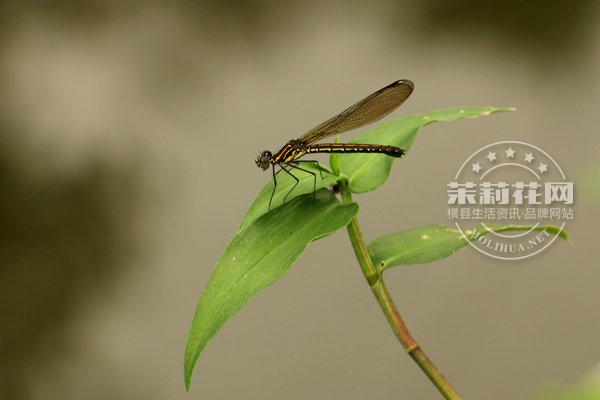 IMG_4831_副本.jpg