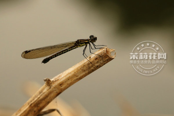 IMG_4833_副本.jpg