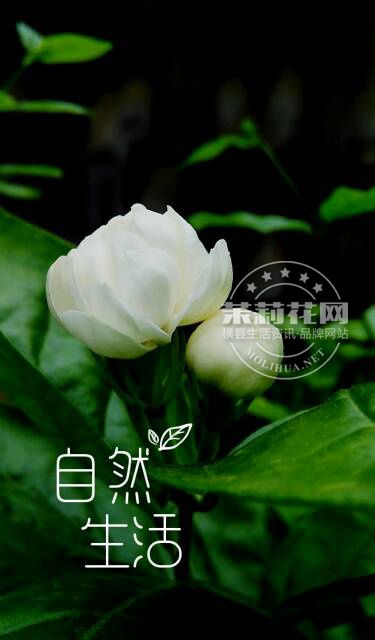110530zq9fnk79nondzn1g.jpg