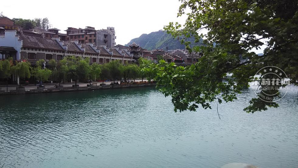 IMG_20150420_143849.jpg