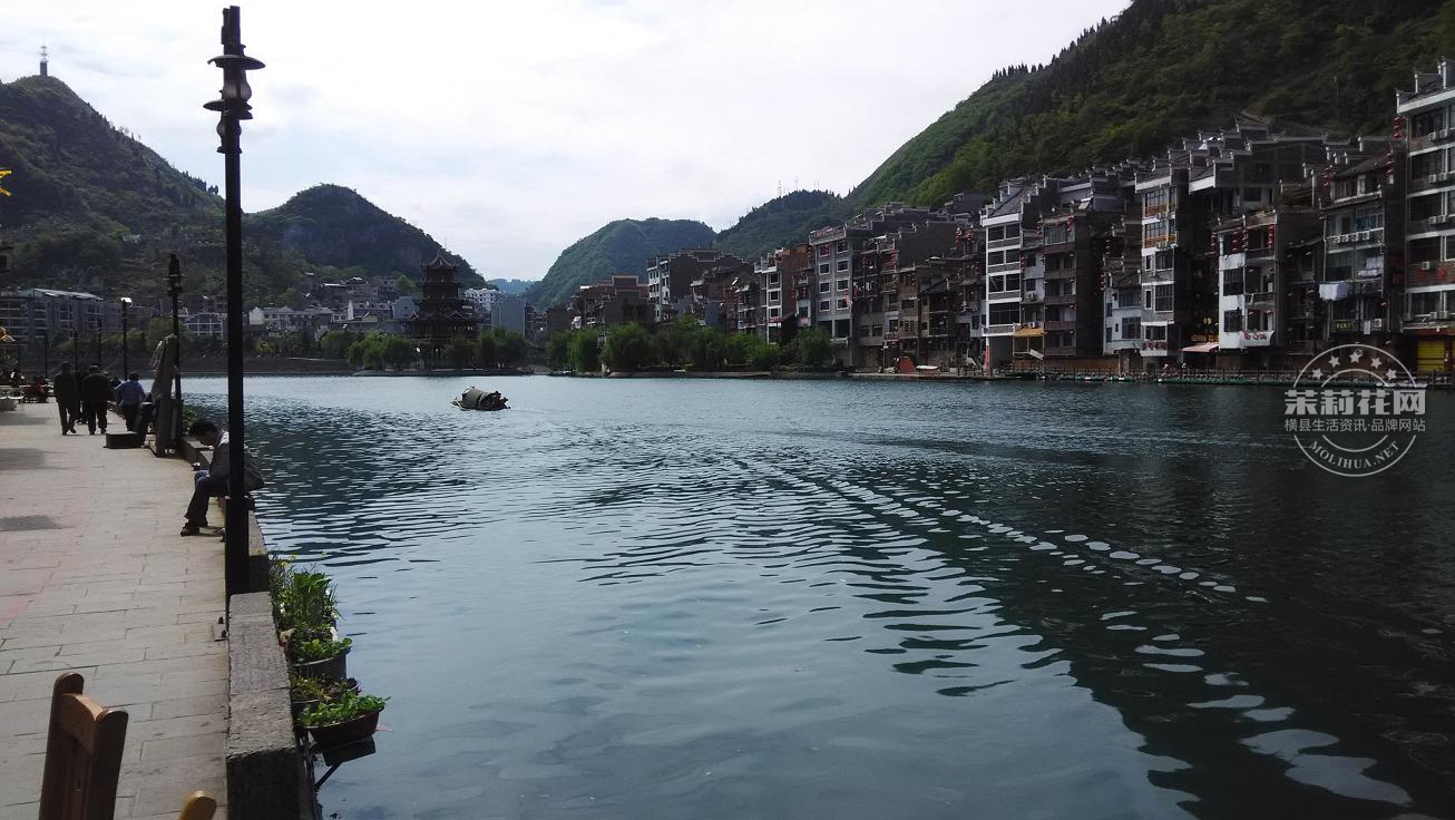 IMG_20150420_145039.jpg