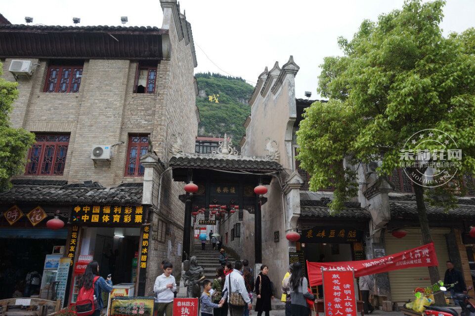 QQ图片20150422210818.jpg