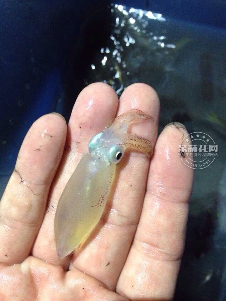 QQ图片20150423140721.jpg