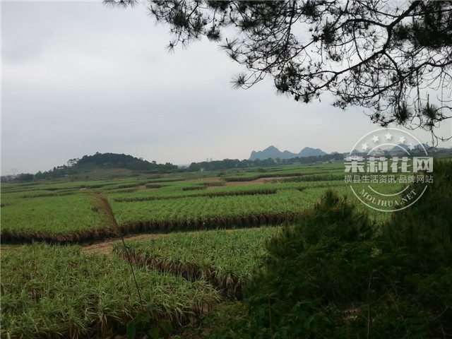 20150406_114346.jpg