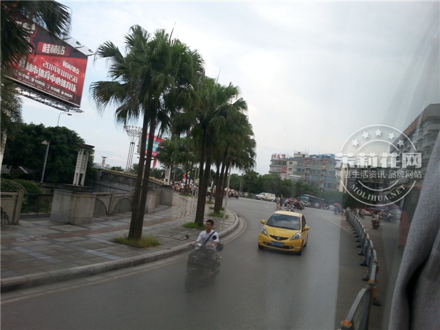 20140828_181950.jpg