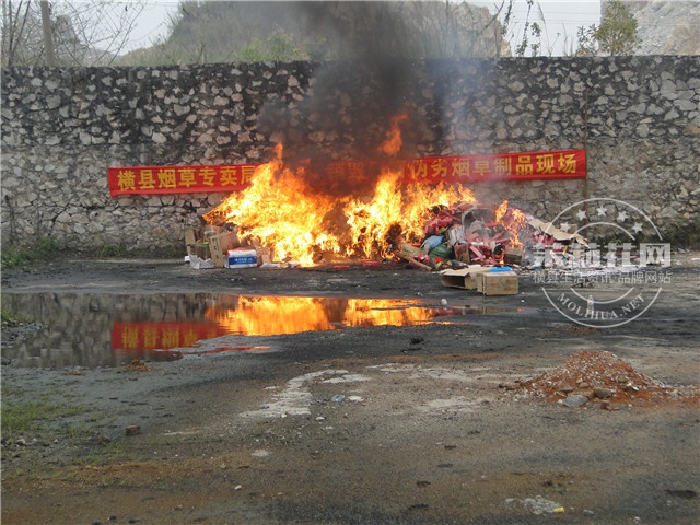 DSC08980.jpg