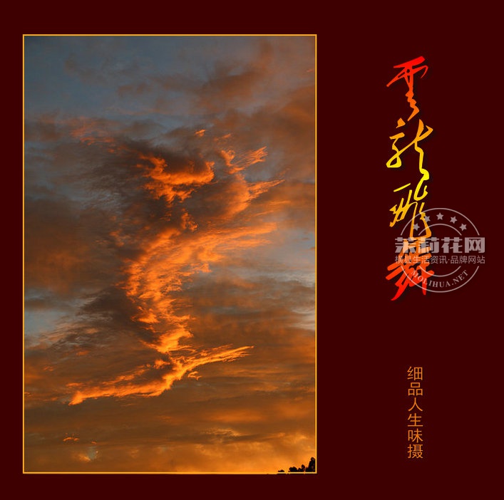 IMG_6285_副本_副本.JPG