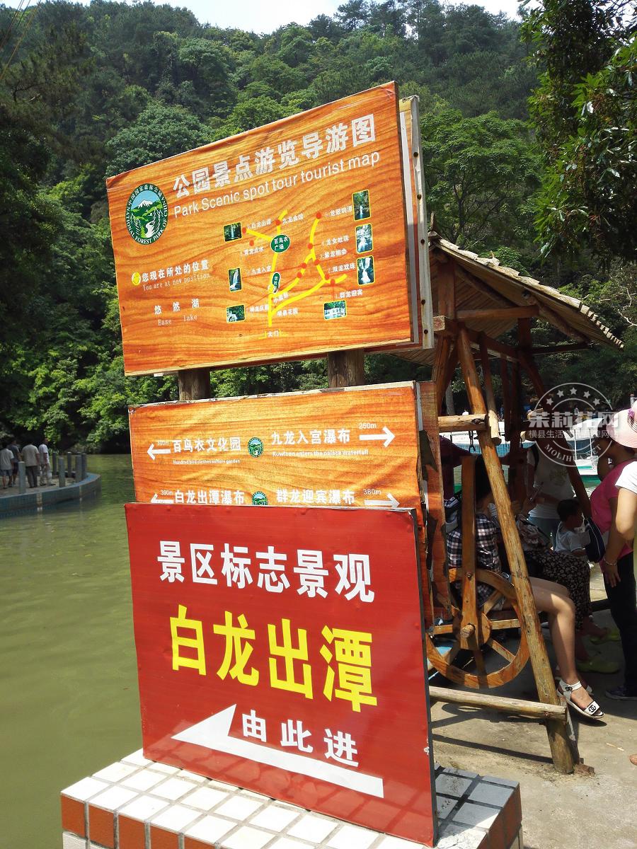 IMG_20150502_140237.jpg