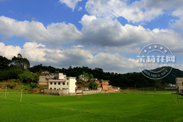 IMG_6404_副本.JPG