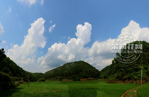 未标题_全景图.jpg