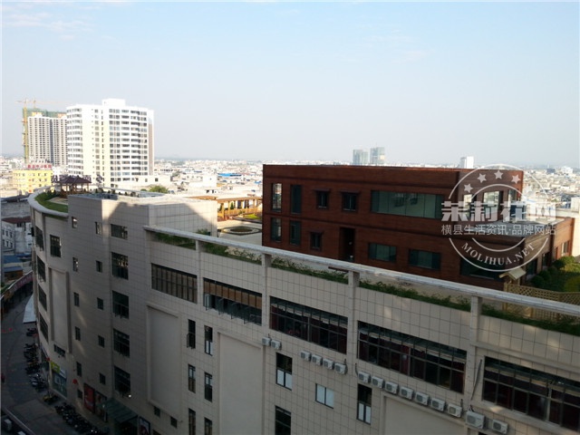 20131130_153726.jpg