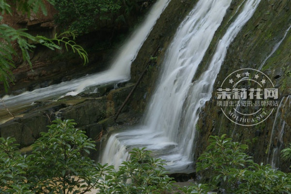 IMG_8214_副本.JPG