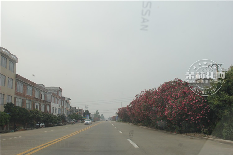 IMG_2746.JPG