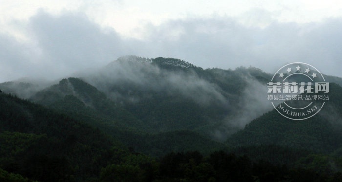 IMG_8763.jpg
