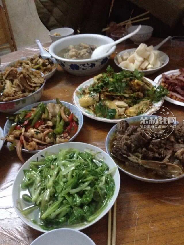菜 (4).jpg
