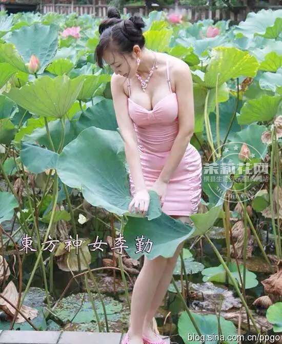 QQ图片20150528075251.jpg