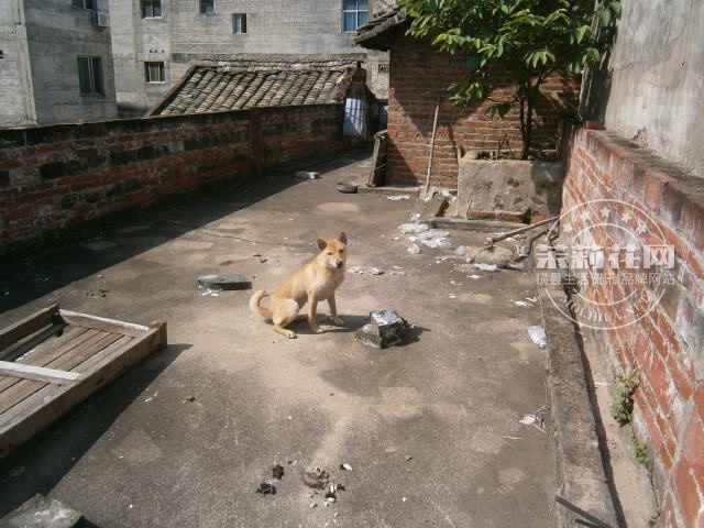 P1010119.JPG