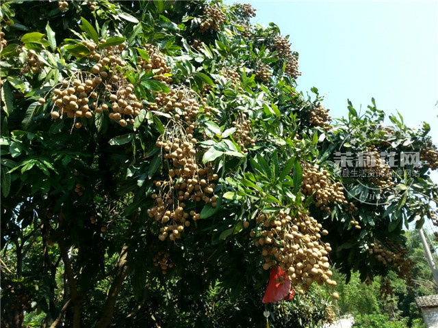 20140801_100035.jpg