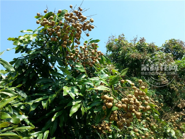 20140801_100957.jpg