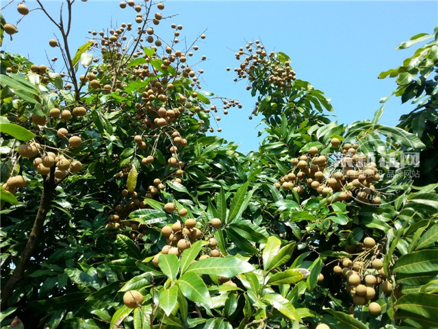 20140801_101002.jpg