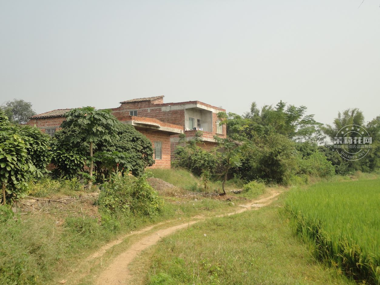 田间小路