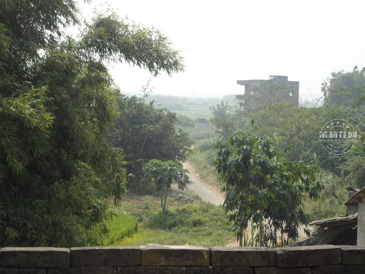 乡间小路