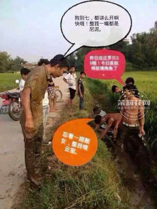 QQ图片20150603204004.jpg