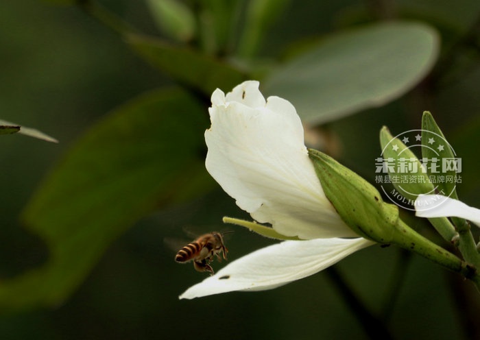 IMG_3733_副本.jpg