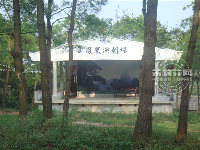 DSC00544.jpg
