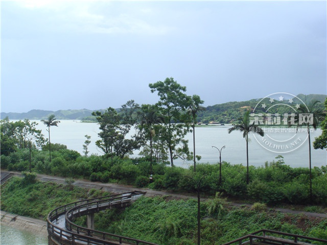 DSC00765.jpg